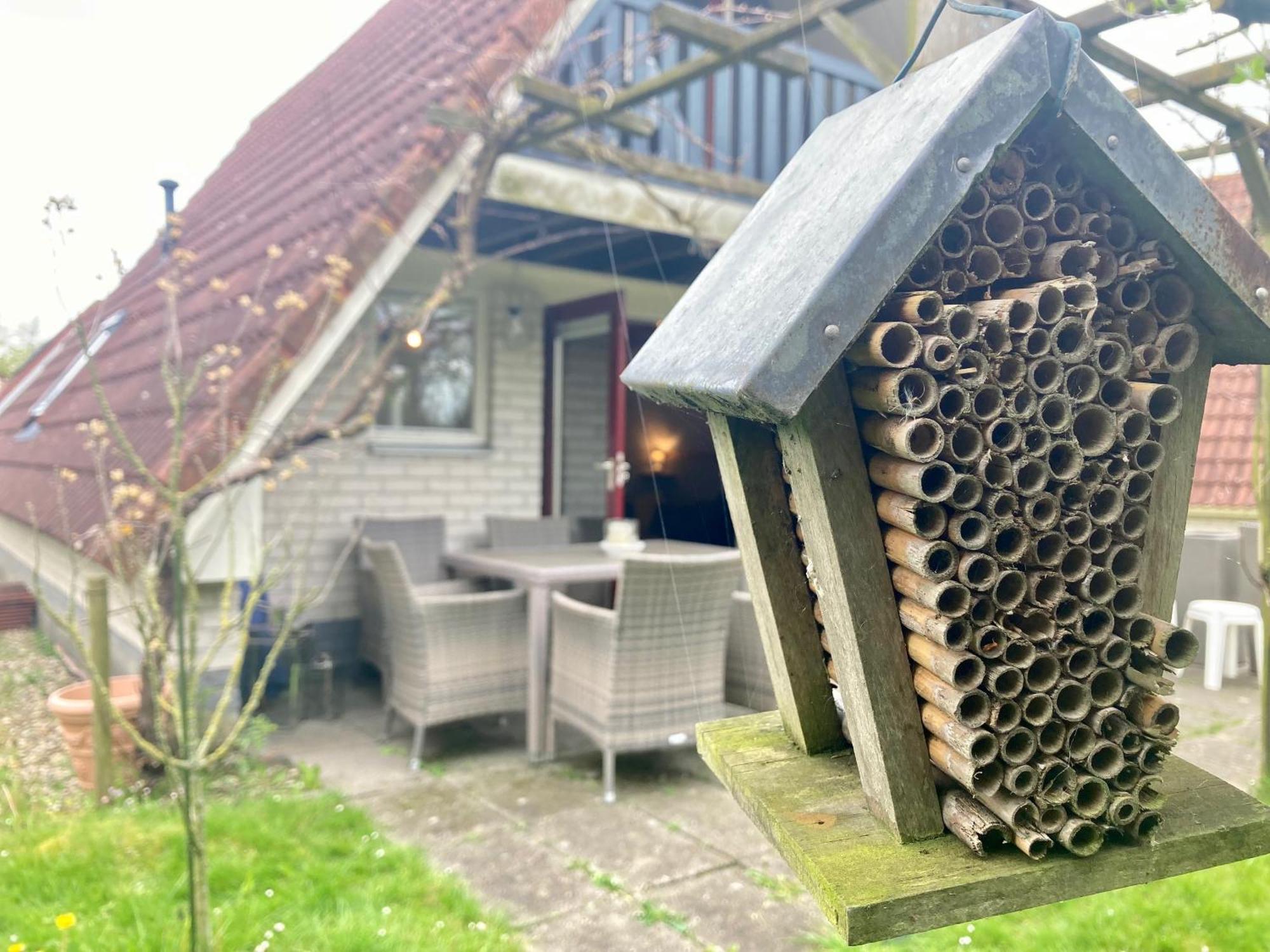 De Druif 6 Pers Holiday Home Close To The National Park Lauwersmeer Anjum Exteriér fotografie